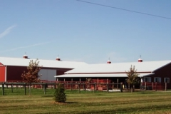 Hagie Bull Barn and Hay shed